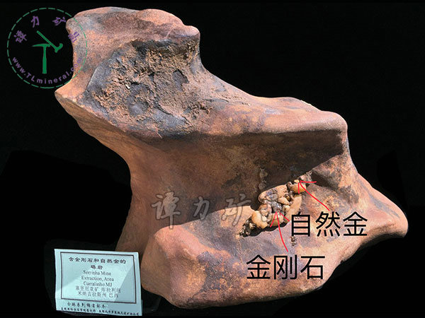 含金剛石和自然金的礫巖，巴西，米納斯吉拉斯州