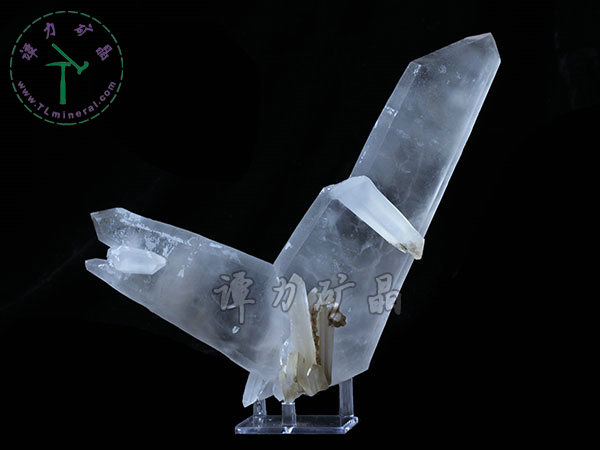 日本律雙晶，內(nèi)蒙古內(nèi)蒙古，東烏珠穆沁旗，額仁高畢,六井,976層,2016年產(chǎn)出