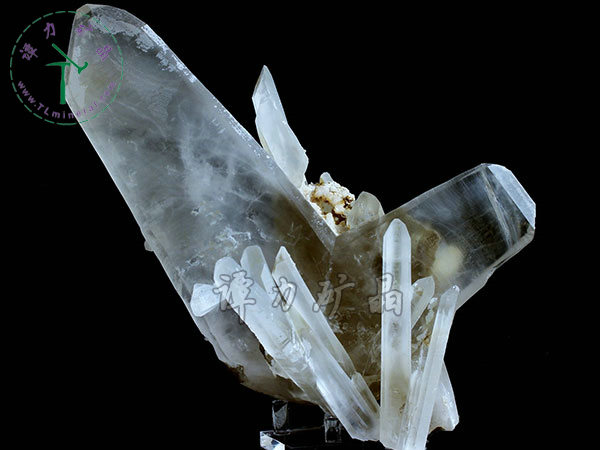 日本律雙晶，內(nèi)蒙古東烏珠穆沁旗，額仁高畢,六井,976層,2016年產(chǎn)出