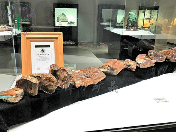 基尼斯之最-歐泊王，210cm,澳大利亞