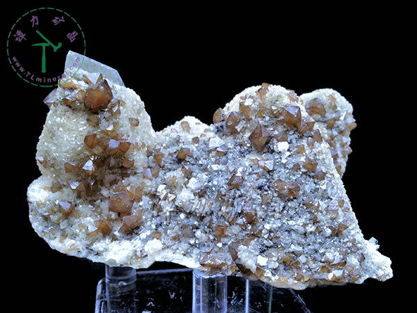 鎢酸鹽--白鎢礦，14x10x4cm-瑤崗仙鎢礦