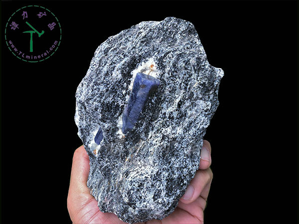 藍(lán)寶石+片麻巖，馬達(dá)加斯加，--13x9x5，主晶：4.0x1.5x1.5