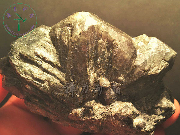 亞歷山大石（變石）輪式雙晶+津巴布韋，12x10x5.0(鎢絲白熾燈下拍攝)