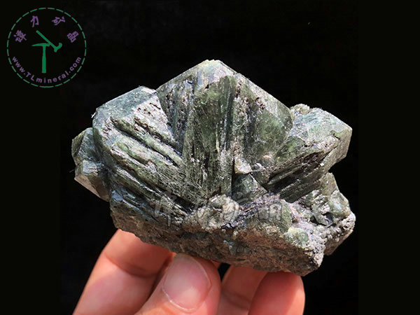 亞歷山大石（變石）輪式雙晶+津巴布韋，12x10x5.0(陽光下拍攝)