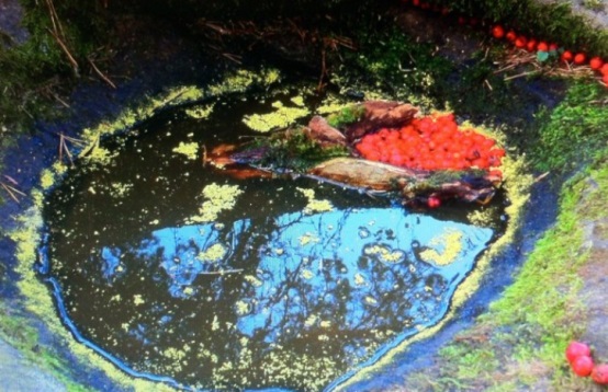 長(zhǎng)沙市譚力礦產(chǎn)品有限公司,長(zhǎng)沙礦產(chǎn)品銷售,工藝品銷售,鉆石飾品批發(fā)