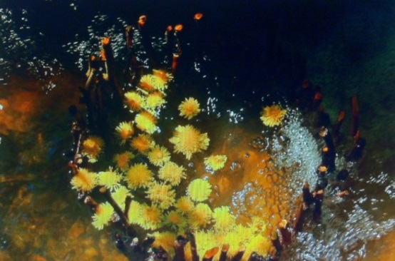 長(zhǎng)沙市譚力礦產(chǎn)品有限公司,長(zhǎng)沙礦產(chǎn)品銷售,工藝品銷售,鉆石飾品批發(fā)