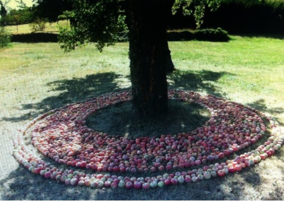 長(zhǎng)沙市譚力礦產(chǎn)品有限公司,長(zhǎng)沙礦產(chǎn)品銷售,工藝品銷售,鉆石飾品批發(fā)